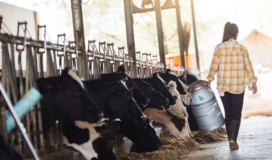 Saiba como escolher a melhor iluminação para indústria agropecuária