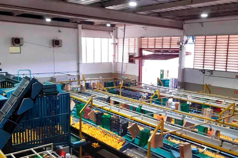 Iluminação LED Indústria Agro-Alimentar